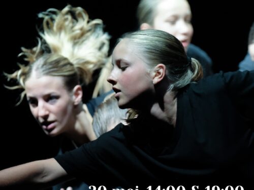 Dans Voorstelling Damme & Sint Michiels