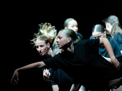 THE MOVIE Show Sint Michiels Damme 2026